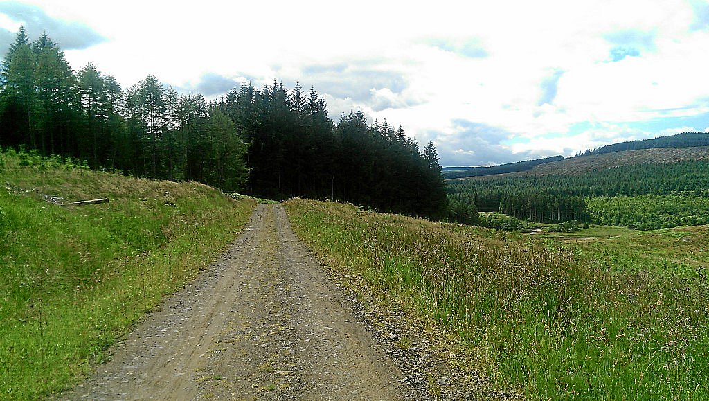 Osprey-MTB-Trail - Kielder