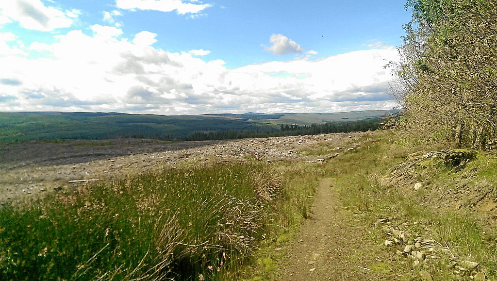 Osprey-MTB-Trail - Kielder