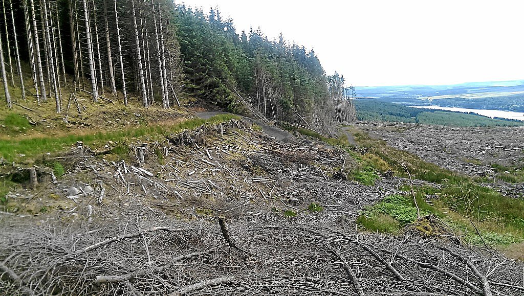 Osprey-MTB-Trail - Kielder