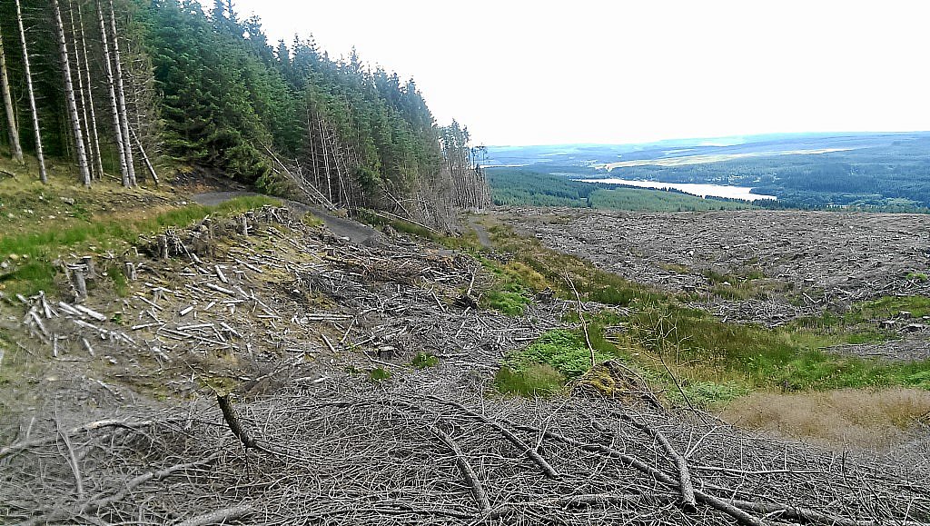 Osprey-MTB-Trail - Kielder
